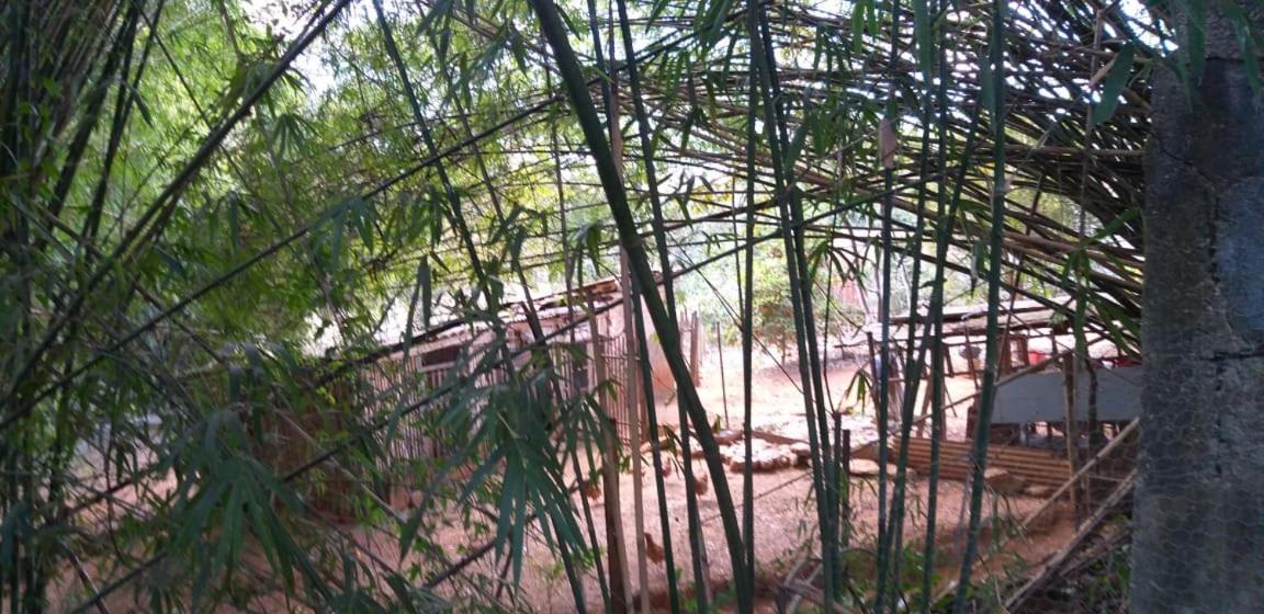 Pousada Sirius São Roque de Minas Exteriör bild